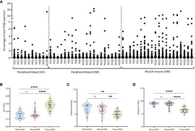 TCRβ clones in muscle tissue share structural features in patients with idiopathic inflammatory myopathy and are associated with disease activity